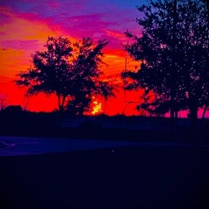 Meet your Posher, Carter